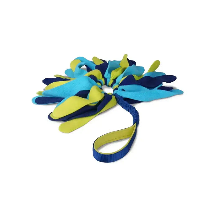 Blue and lime green fabric dog toy with braided handle for tugging by coachi tuggi spider