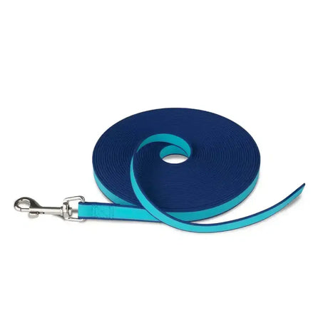 A coiled blue and teal coachi waterproof training line dog leash with silver metal clasp for safe training outdoors