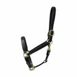 Coldstream Leather Padded Head Collar Black Black Pony Leather Headcollars