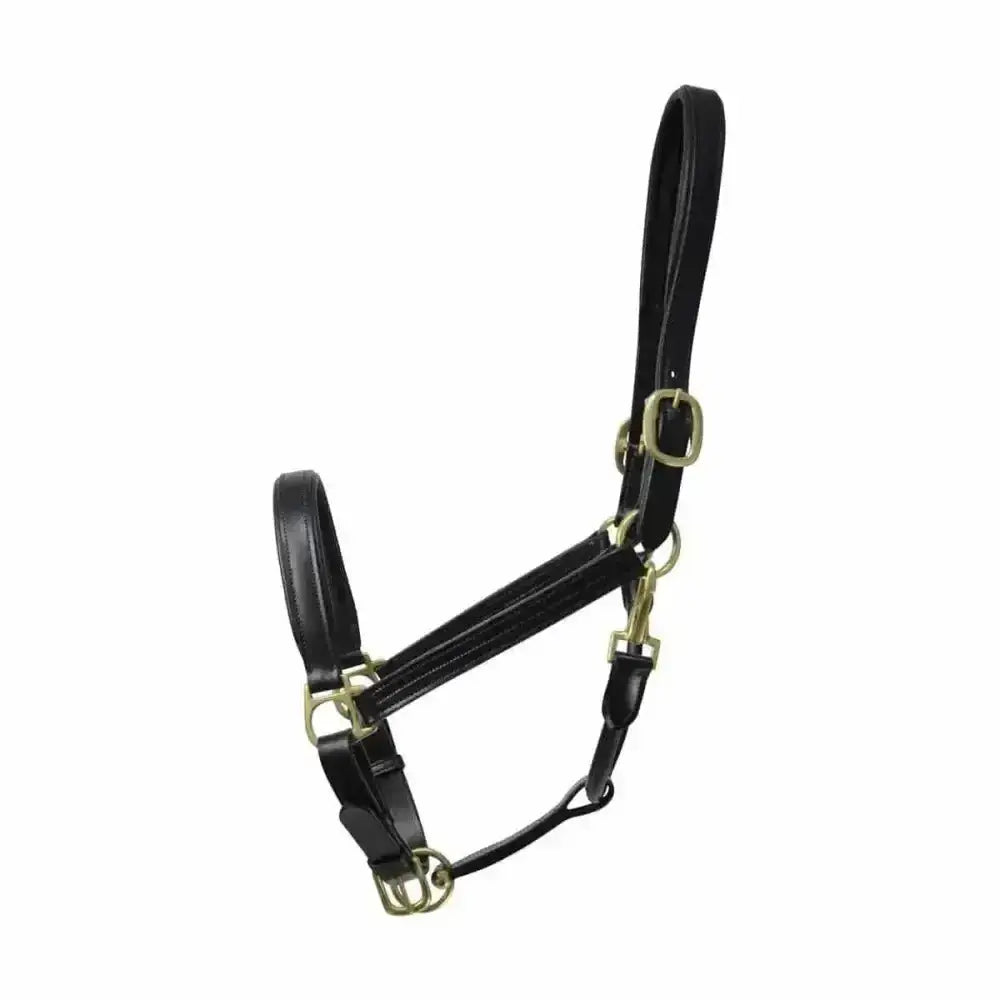 Black leather coldstream leather padded head collar with brass hardware made from finest quality leather for horses