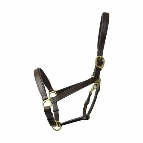 Brown coldstream leather padded head collar with brass hardware luxurious leather padded head collar for horses