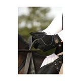 Back view of coldstream swinton combi mesh summer riding gloves in black with silver hardware and textured grip panels