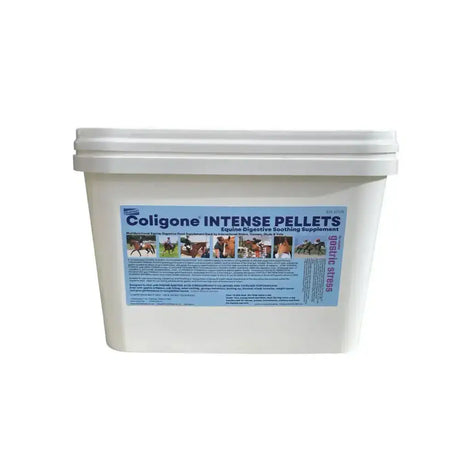 White plastic bucket of coligone intense pellets with blue label showing horses for equine gastric acid support