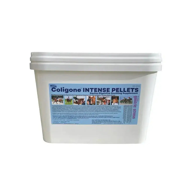 White plastic bucket of coligone intense pellets with blue label showing horses for equine gastric acid support