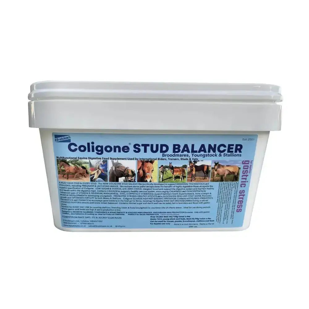 White plastic bucket with blue label coligone stud balancer for equine digestive health to support breeding