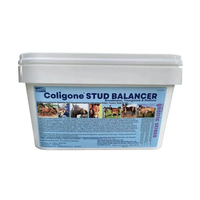 White plastic bucket with blue label coligone stud balancer for equine digestive health to support breeding
