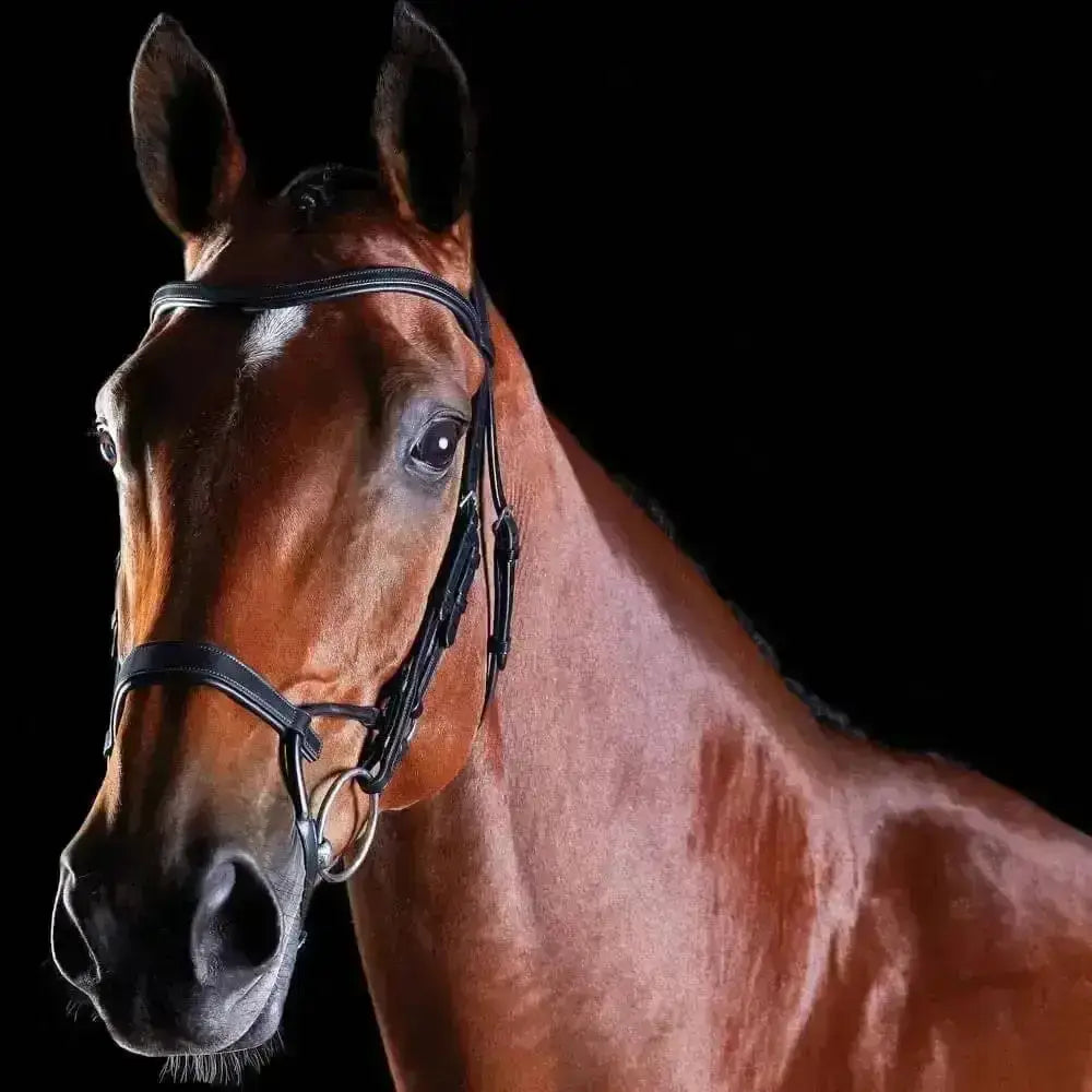 A sleek black collegiate comfitec training bridle made of high quality european leather with silver metal hardware