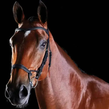A sleek black collegiate comfitec training bridle made of high quality european leather with silver metal hardware