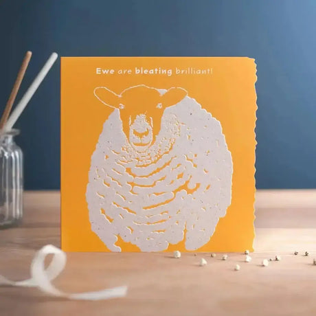A vibrant orange colour block happy birthday ewe card with a white laser-cut sheep and individually cello wrapped