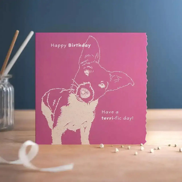 Colour Block Happy Birthday Terri Fic Day Horsey Greeting Cards