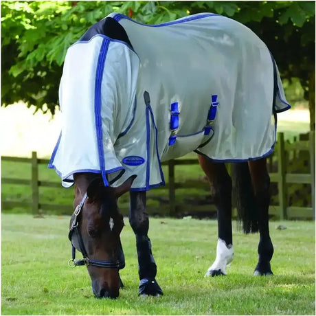 Light gray weatherbeeta comfitec airflow combo fly rug with blue trim and adjustable straps for durable protection