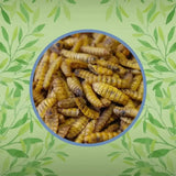 Copdock Mill Calci-Boost Grubs 5 Litre Wild Bird Food