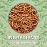 Copdock mill dried mealworms 5 litre brownish segmented mealworms for wild bird care and blending seeds