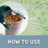 Green plastic-lidded wire mesh bird feeder filled with dried mealworms for wild bird care and blending seeds by copdock mill
