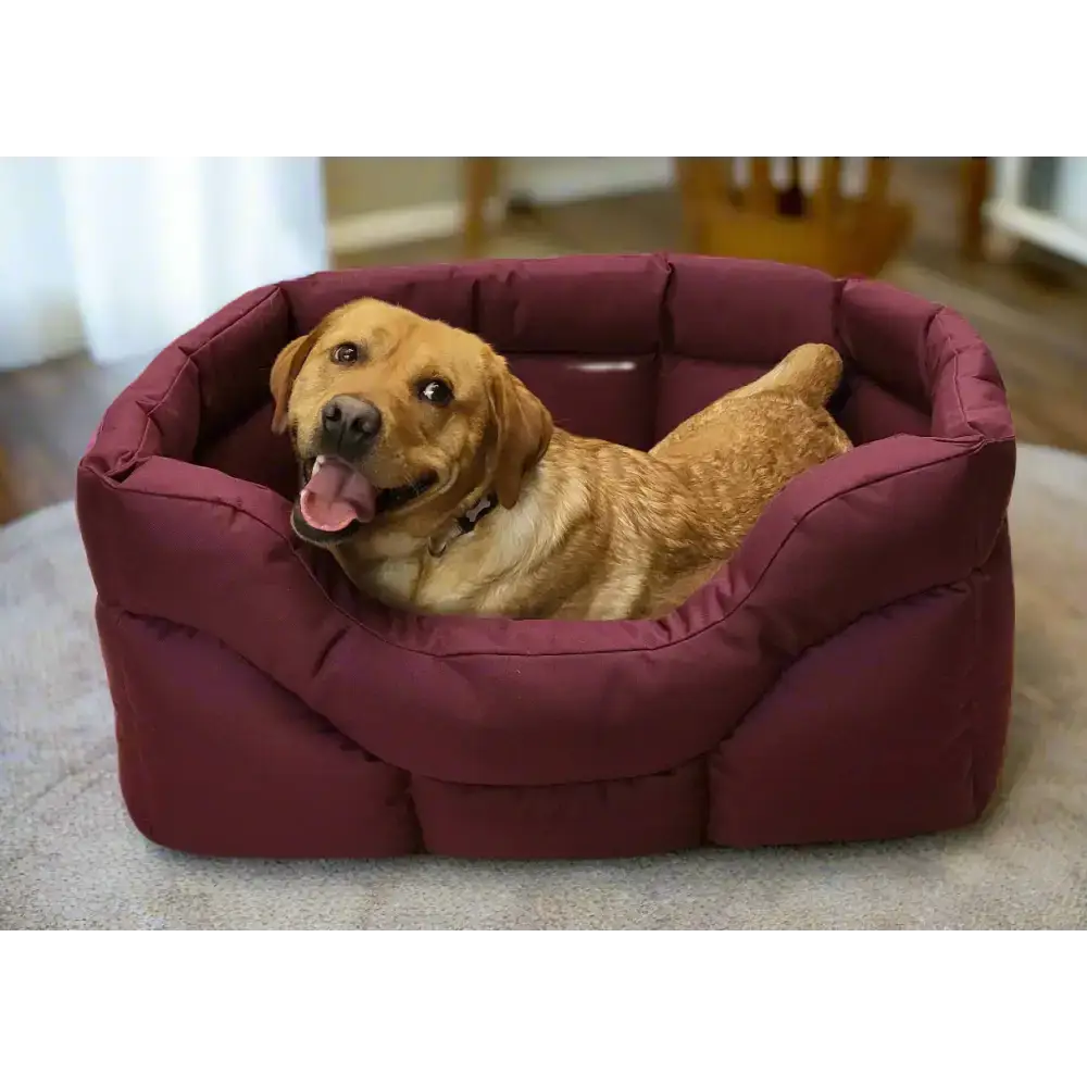 Country Dog Heavy Duty Rectangular High Sided Waterproof Dog Beds Medium L57cm X W47cm X H24cm Grey Dog Beds