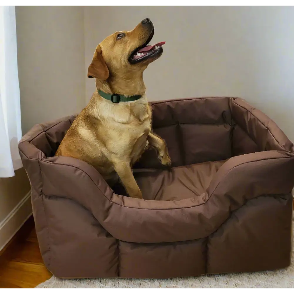 Country Dog Heavy Duty Rectangular High Sided Waterproof Dog Beds