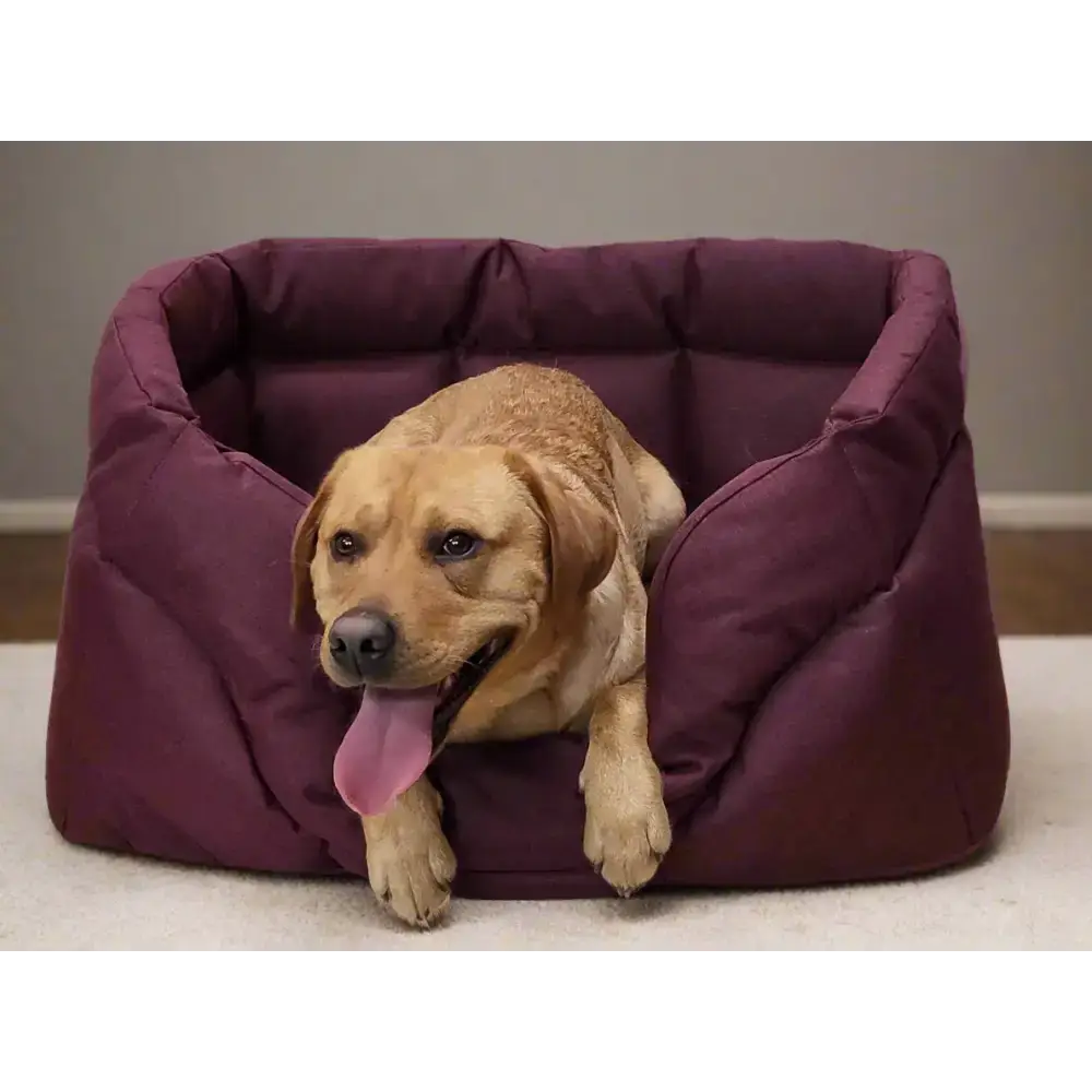 Country Dog Heavy Duty Rectangular High Sided Waterproof Dog Beds Medium L57cm X W47cm X H24cm Grey Dog Beds