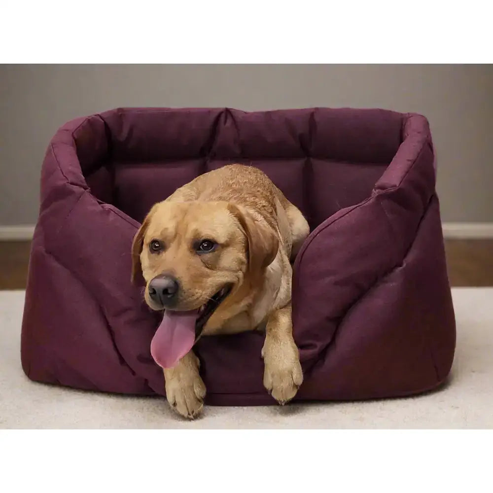 Plush deep purple heavy duty rectangular high sided waterproof dog bed with quilted stitching and soft fabric