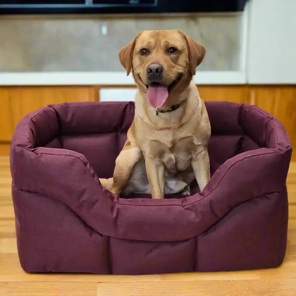 A plush deep purple heavy duty rectangular high sided waterproof dog bed with quilted soft fabric design