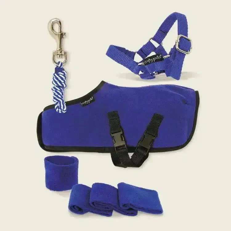Royal blue crafty ponies fleece horse blanket with black trim and adjustable straps ponies fleece rug