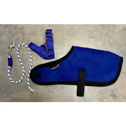 Blue fleece crafty ponies foal coat with black trim and matching harness and leash from ponies foal rug set