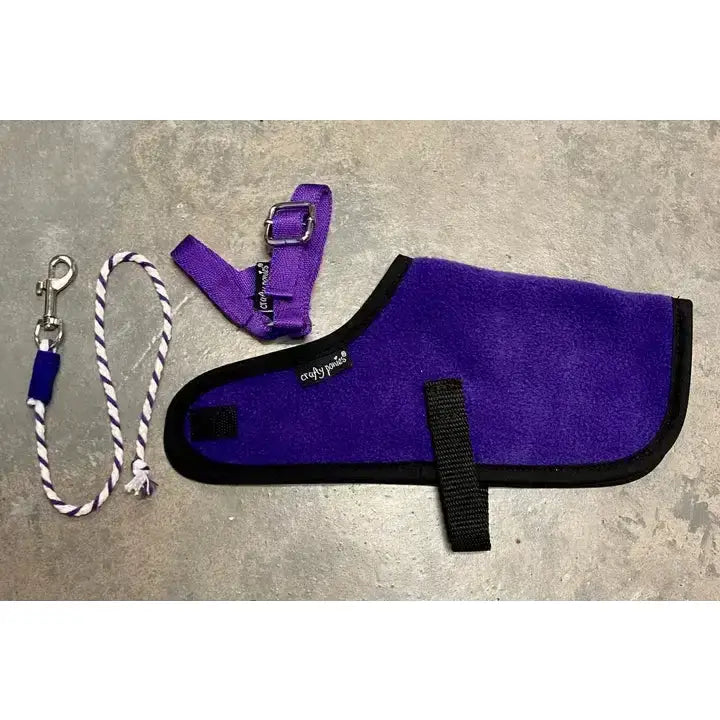Purple fleece horse halter and lead rope set with black trim for crafty ponies foal accessories and ponies foal rug use