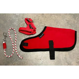 Red felt dog coat with black trim and adjustable straps from crafty ponies foal rug accessories set