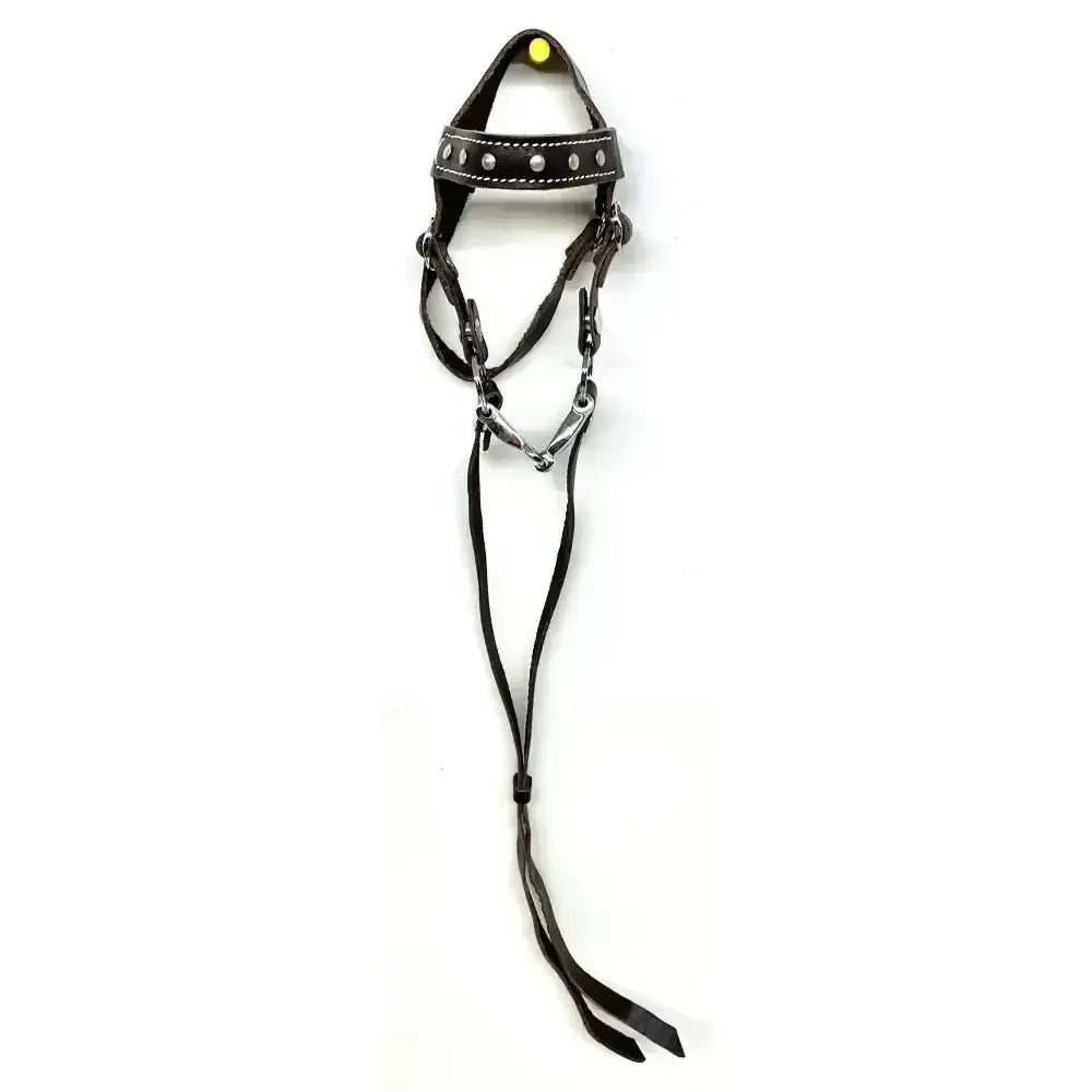 Black leather horse halter with silver metal hardware and yellow buckle from crafty ponies western tack starter set