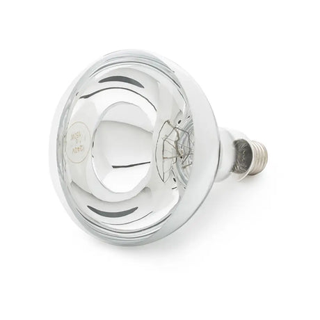Curalux infrared 240v reflector lamb bulb with chrome finish clear glass dome and visible filament inside