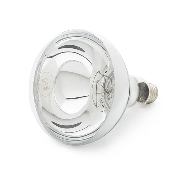 Curalux infrared 240v reflector lamb bulb with chrome finish clear glass dome and visible filament inside