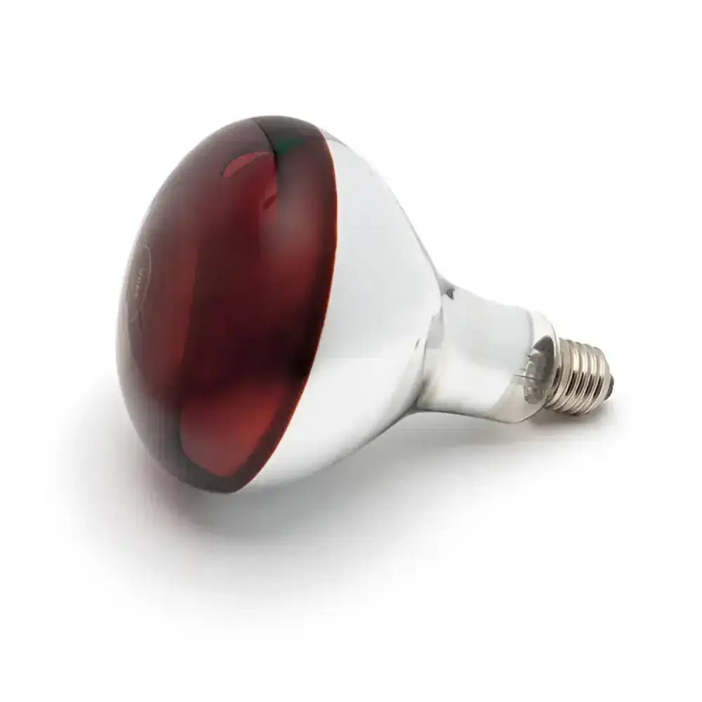 Curalux infrared 240v reflector lamb bulb with red-tinted glass and clear base with metallic screw thread
