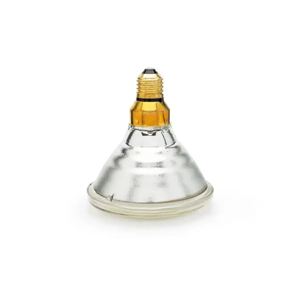 A clear glass curalux infrared par 38 bulb with gold-toned screw base and metallic interior for infrared light use