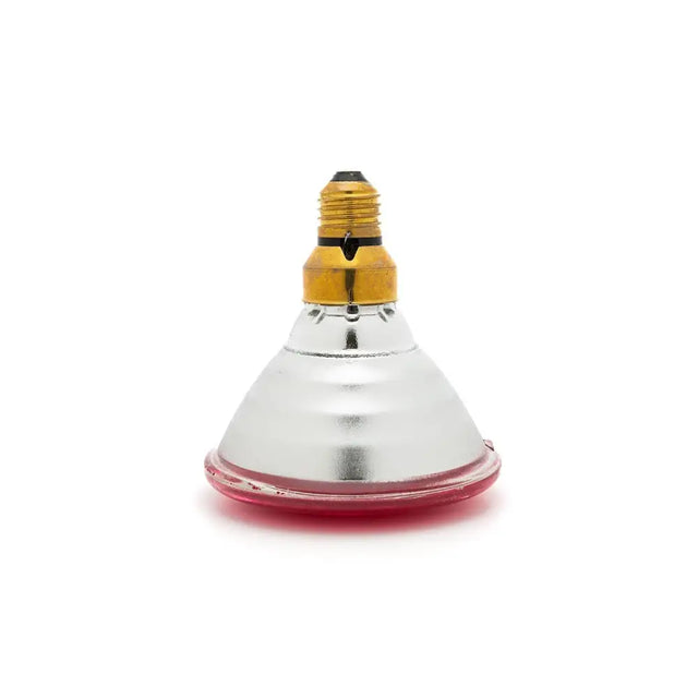 Curalux infrared par 38 bulb with red-tinted infrared light bulb and gold screw base in reflective silver housing