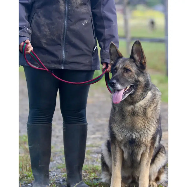 A german shepherd sits with a black and tan coat wearing a red cushion web 1m padded lead with a handle loop