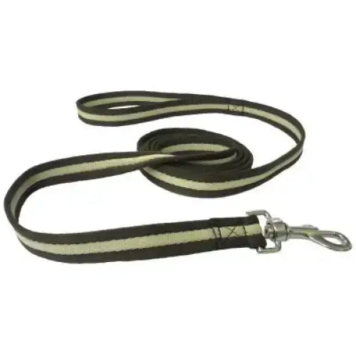Dark green cushion web 2m padded lead with light beige reflective stripes and silver metal clasp handle loop