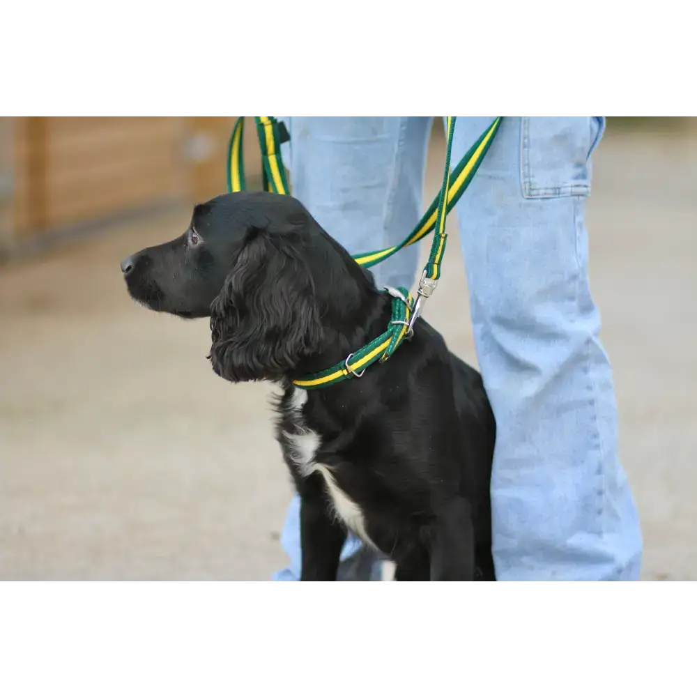 Cushion Web Dog Collar Medium Black 
