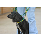 Cushion Web Dog Collar Medium Black 