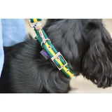 Green and yellow striped cushion web dog collar with silver metal fixings and durable woven material