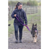 Purple cushion web double ended training lead with air-web double hook for german shepherd dogs