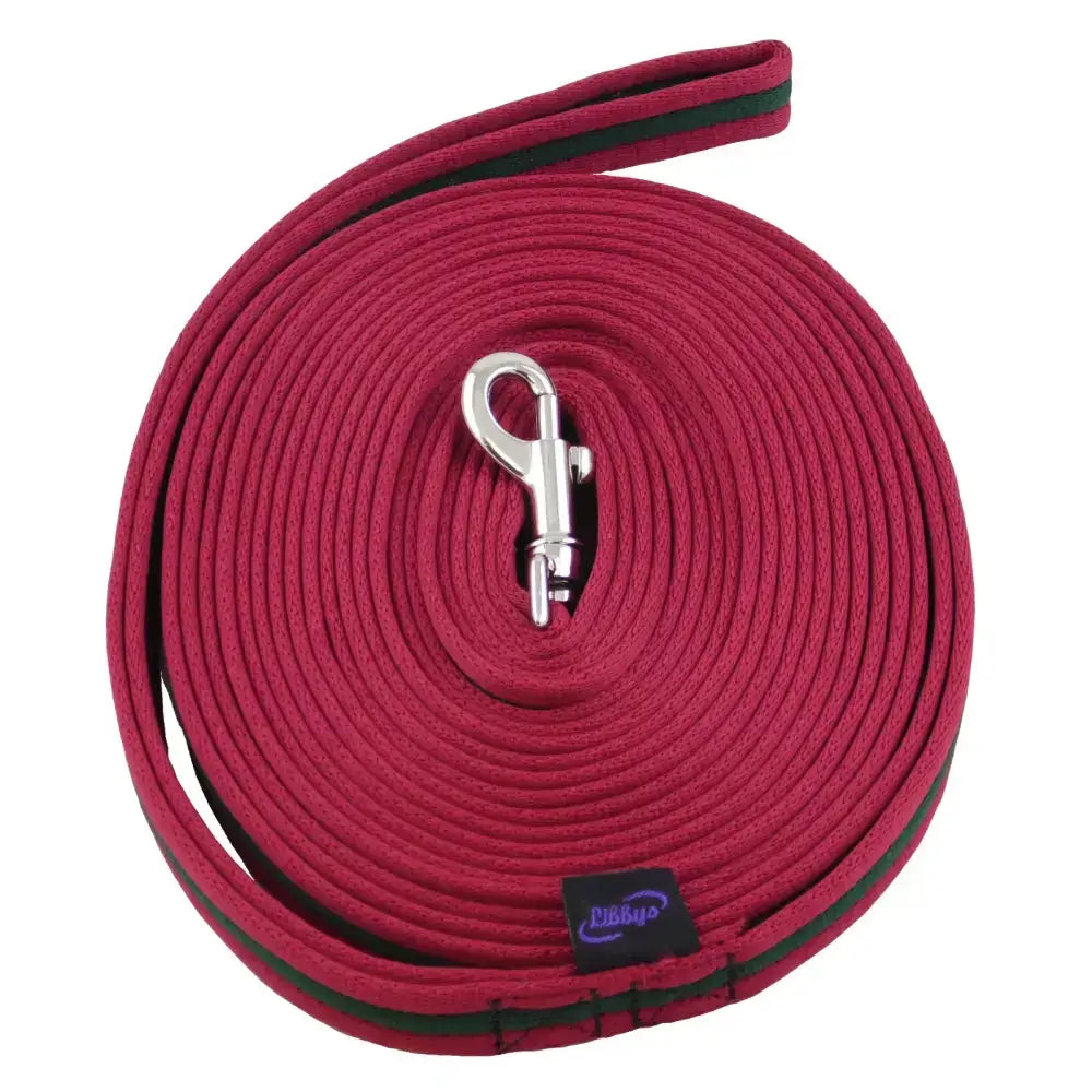 Maroon cotton cushion web lunge rein with green trim and silver metal clasp for secure lunge training