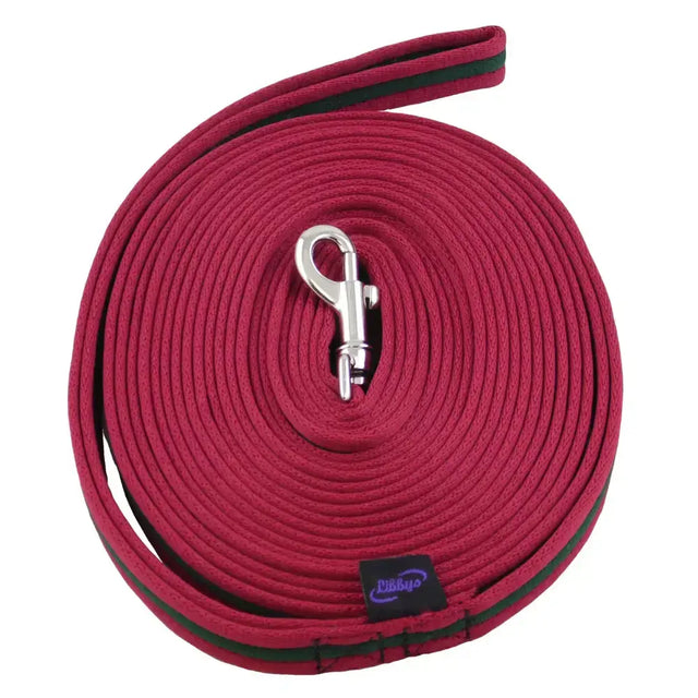 Maroon cotton cushion web lunge rein with green trim and silver metal clasp for secure lunge training