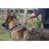 Black leather dog collar with silver hardware and rectangular buckle designed for cushion web multi lead and handle loop use