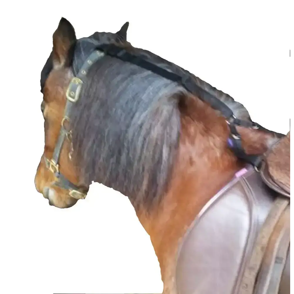 Daisy Reins Black Small 