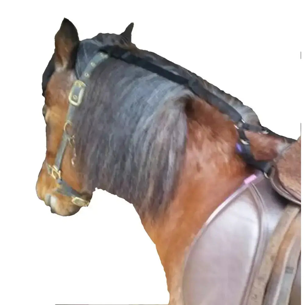 Black horse mane protector with adjustable gold-toned buckles soft webbing by daisy reins for equestrian use