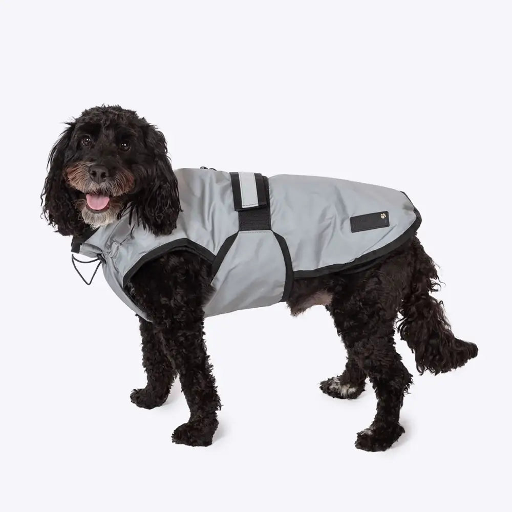 Gray waterproof dog coat with black trim and reflective stripes featuring velcro straps danish design dog coat reflective