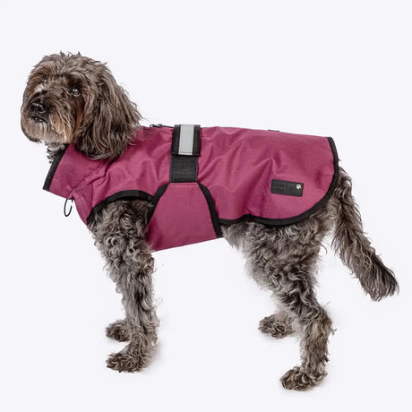 A maroon waterproof dog coat plum with black trim velcro straps and a reflective strip by danish design shown from the back