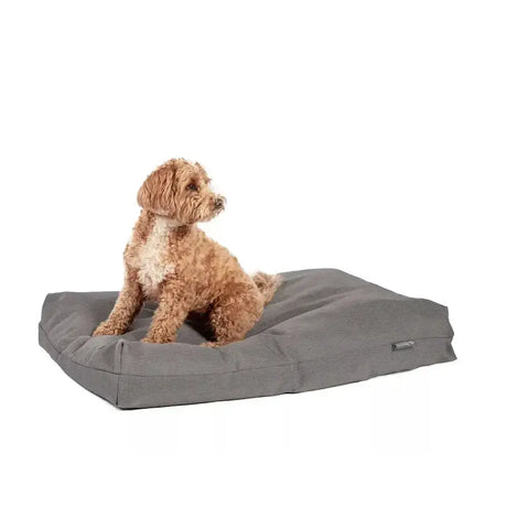 Gray rectangular dog bed with soft cushioned surface and durable fabric exterior danish design antibacterial deluxe duvet