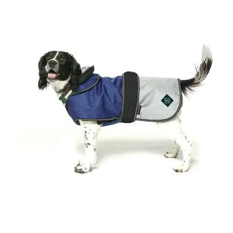 Blue and gray waterproof dog coat with black trim showing back side of danish design battersea 2-in-1 dog coat