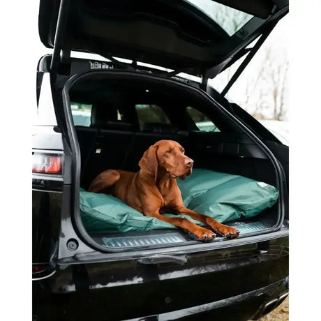 Teal green duvet dog bed by danish design county with deep fill comfy for dogs in car trunk use