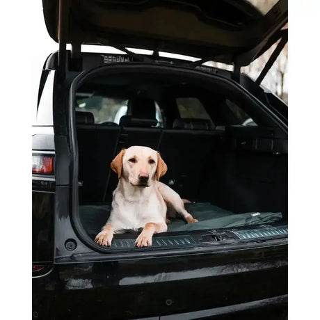 A light-colored labrador resting on a dark green danish design county duvet dog bed in an suv trunk practical solution